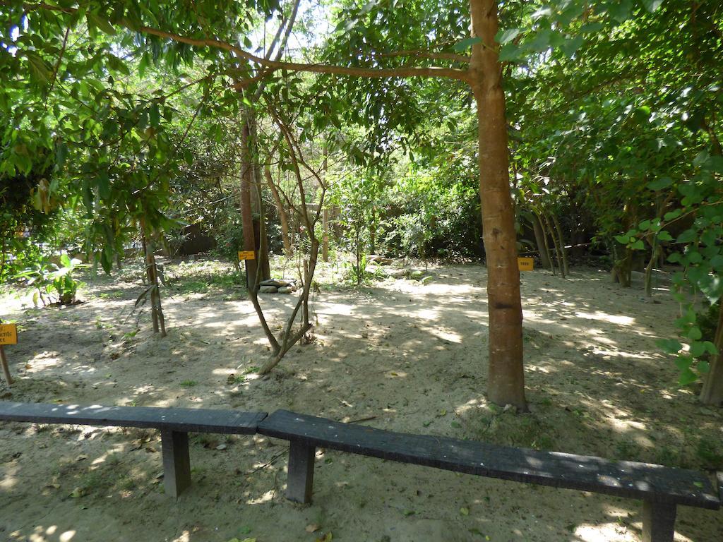 Chitwan Gaida Lodge โซราฮา ภายนอก รูปภาพ