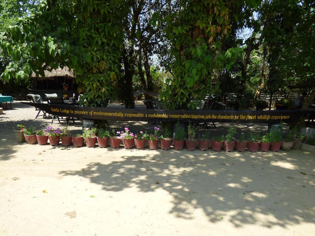 Chitwan Gaida Lodge โซราฮา ภายนอก รูปภาพ