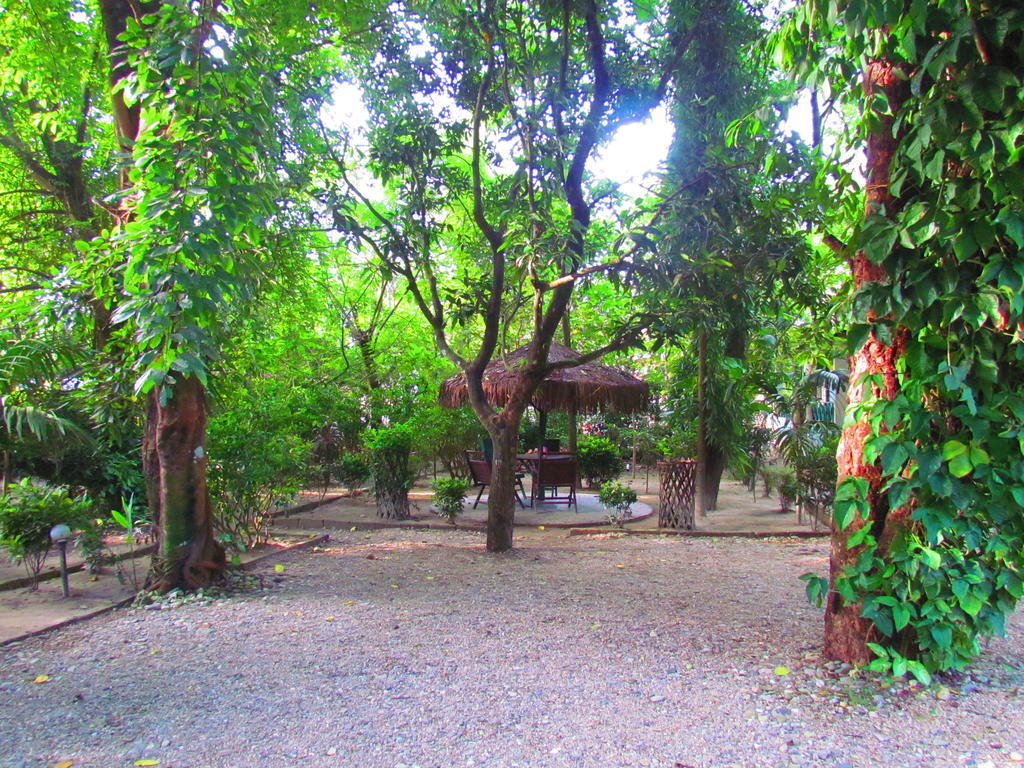 Chitwan Gaida Lodge โซราฮา ภายนอก รูปภาพ