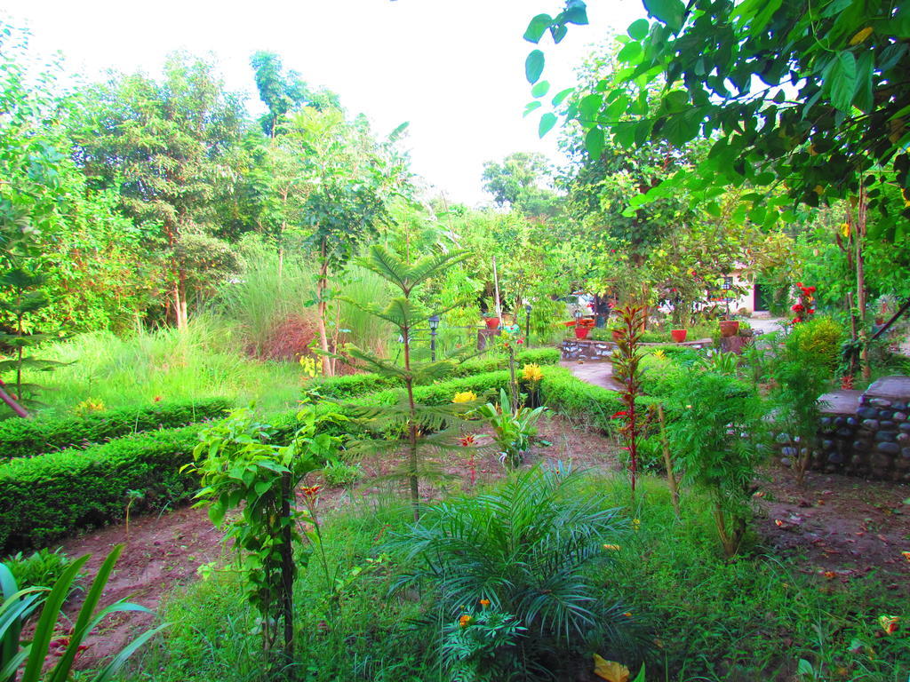Chitwan Gaida Lodge โซราฮา ภายนอก รูปภาพ