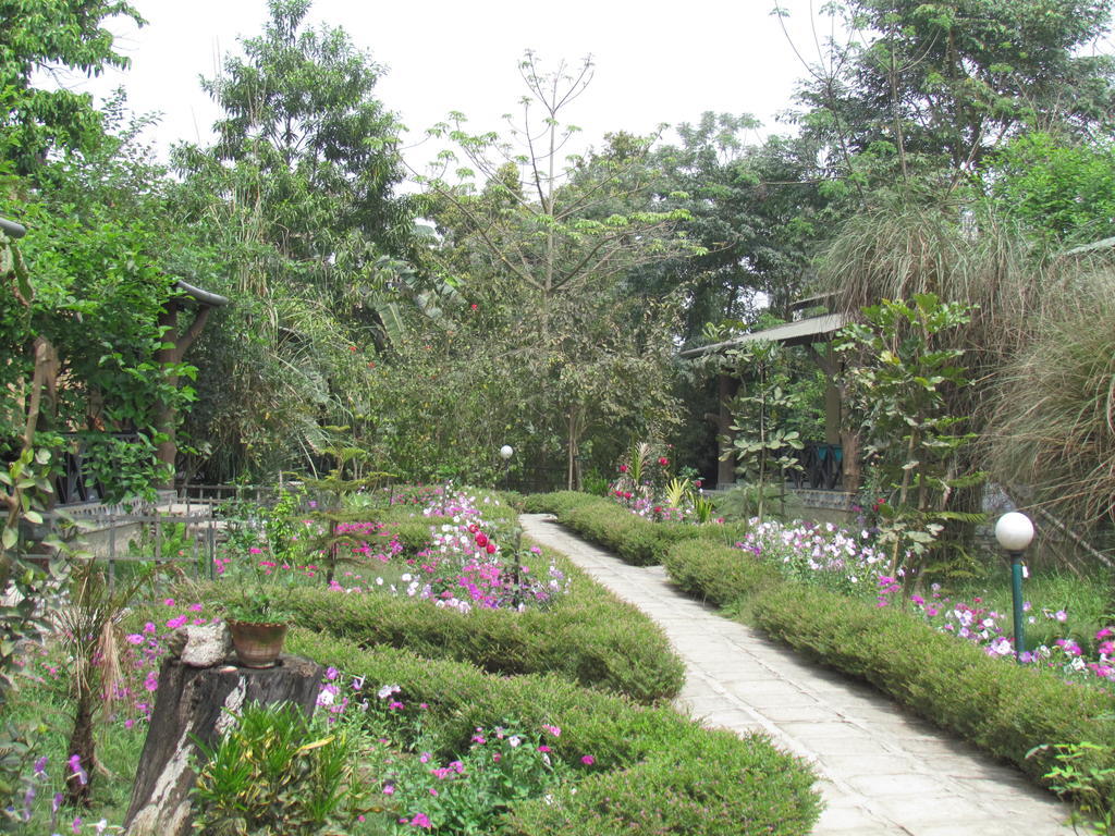 Chitwan Gaida Lodge โซราฮา ภายนอก รูปภาพ