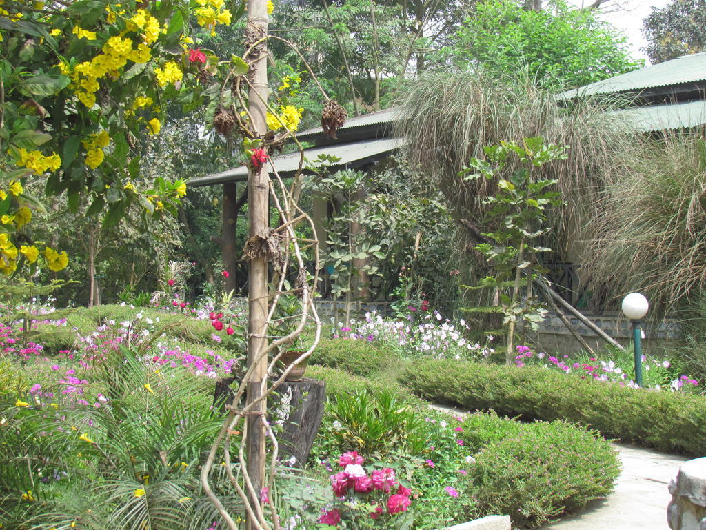 Chitwan Gaida Lodge โซราฮา ภายนอก รูปภาพ