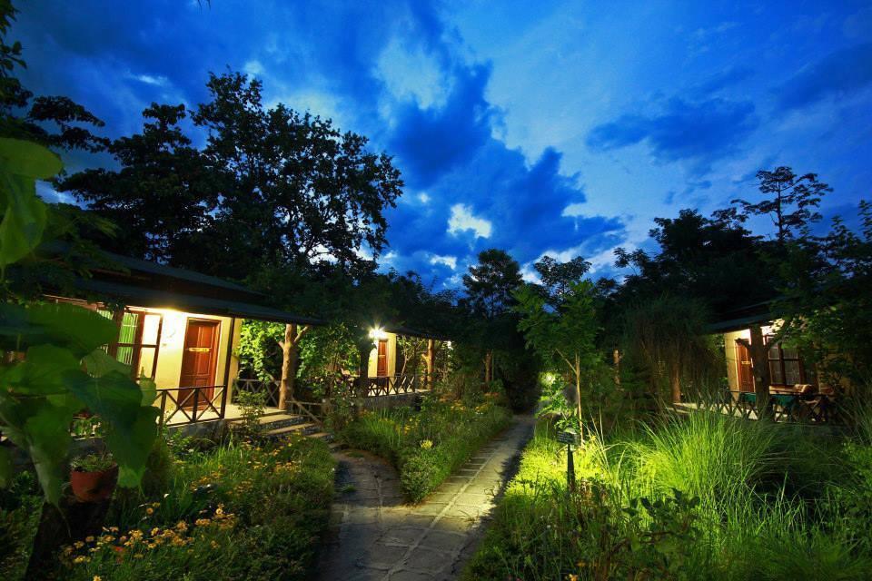 Chitwan Gaida Lodge โซราฮา ภายนอก รูปภาพ