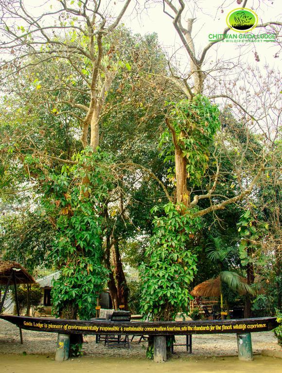 Chitwan Gaida Lodge โซราฮา ภายนอก รูปภาพ