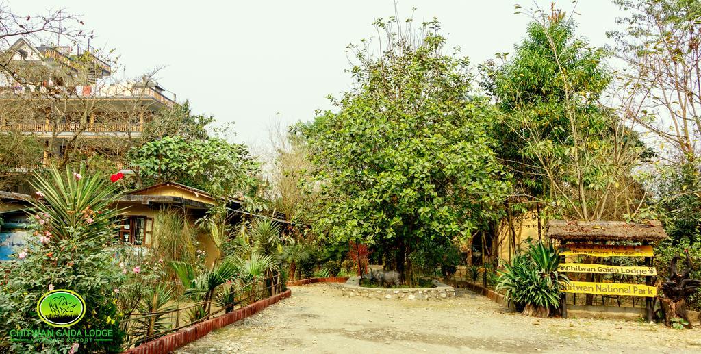 Chitwan Gaida Lodge โซราฮา ภายนอก รูปภาพ