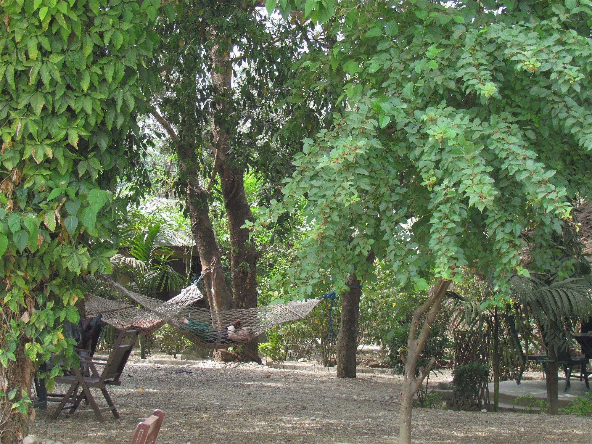 Chitwan Gaida Lodge โซราฮา ภายนอก รูปภาพ
