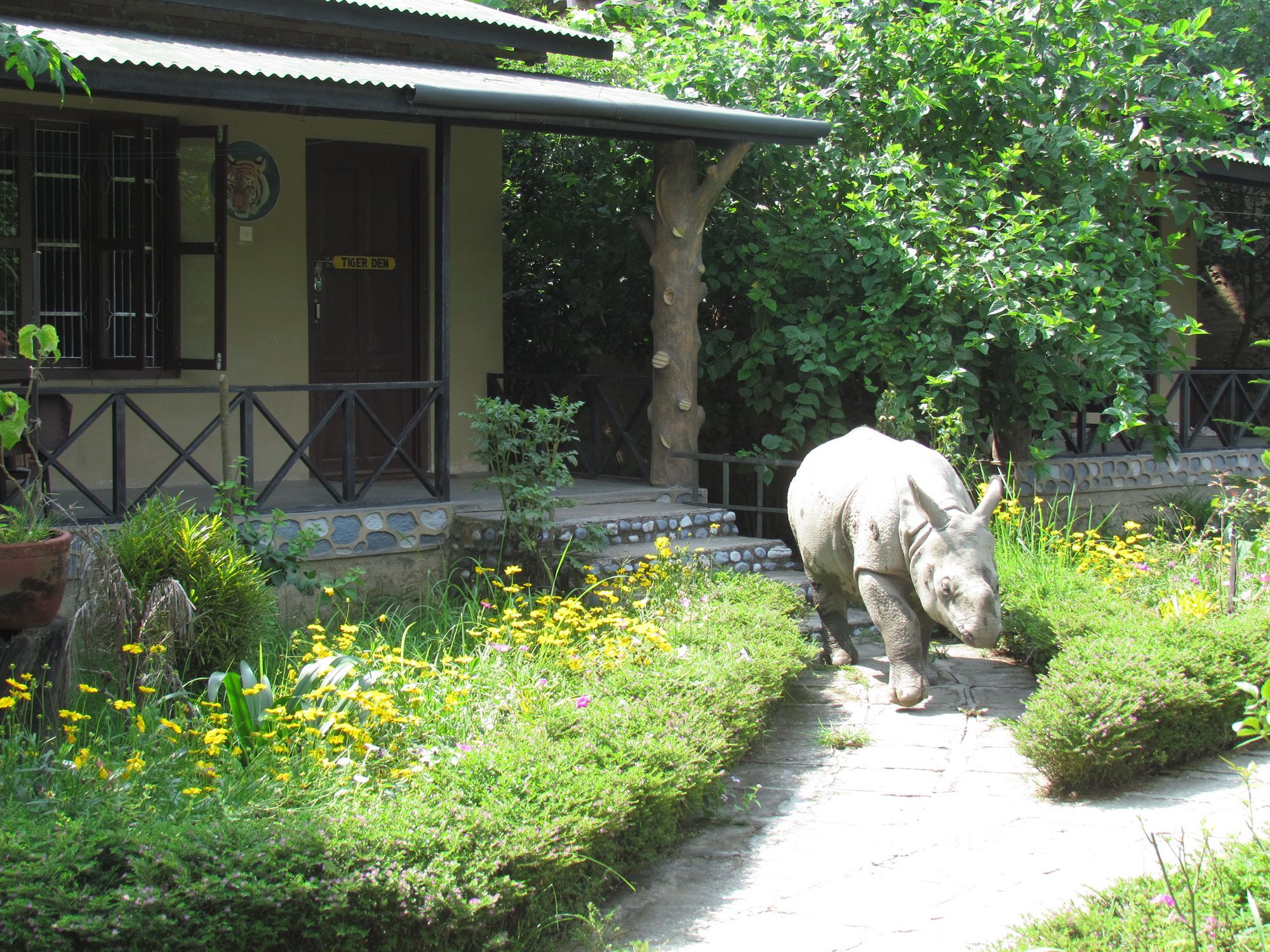 Chitwan Gaida Lodge โซราฮา ภายนอก รูปภาพ